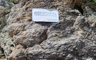 Lehrerwanderung_Vogelbergsteig (6).jpg