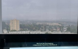 IMG_3878.jpg