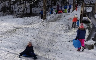 IMG_20221214_115503.jpg