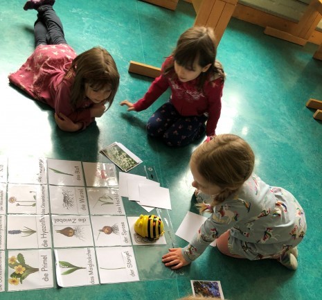 Beebot