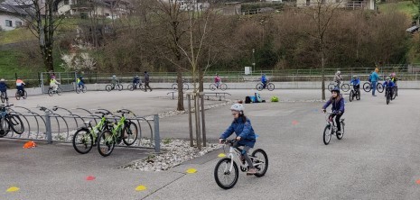 IMG_20230411_083352