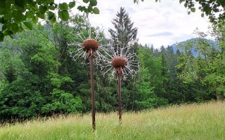 IMG-20230620-WA0010.jpg