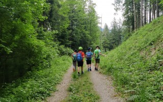 IMG_20230619_111649.jpg