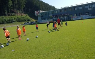 IMG_20230626_091458.jpg
