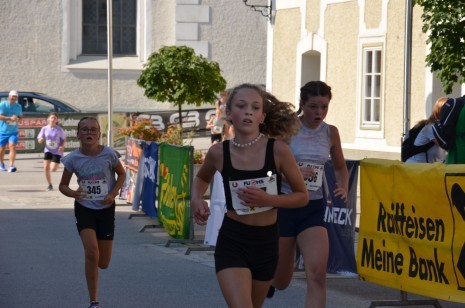 Lauf 5