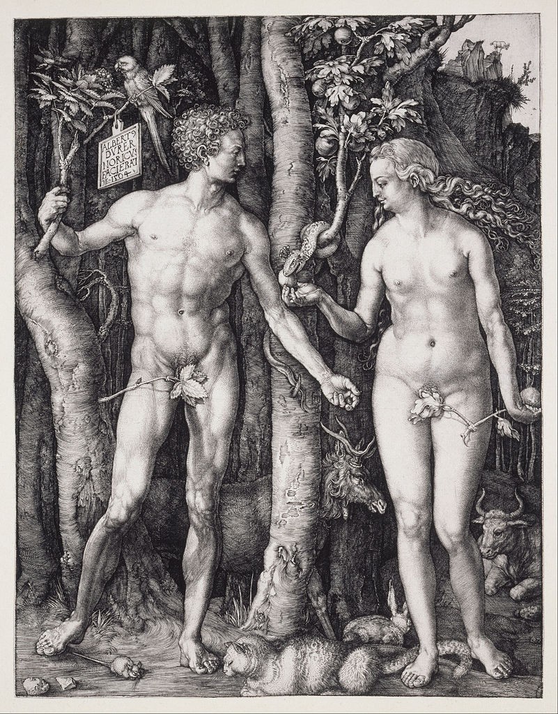 801px-Albrecht_Dürer_-_The_Fall_of_Man_(Adam_and_Eve)_-_Google_Art_Project.jpg