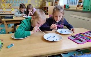 IMG_20231120_095229.jpg