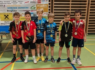 U11 Mannschaftsmeisterschaft