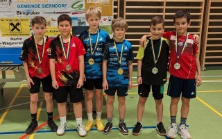 U11 Mannschaftsmeisterschaft