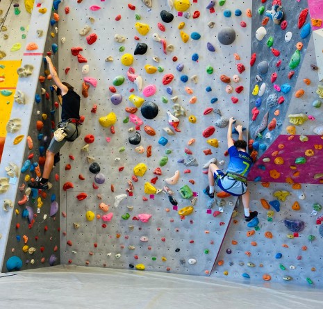 IMG-20241105-WA0009